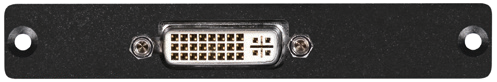 DVI
